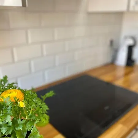 Apartment Centrico-parking Gratuito-wifi *