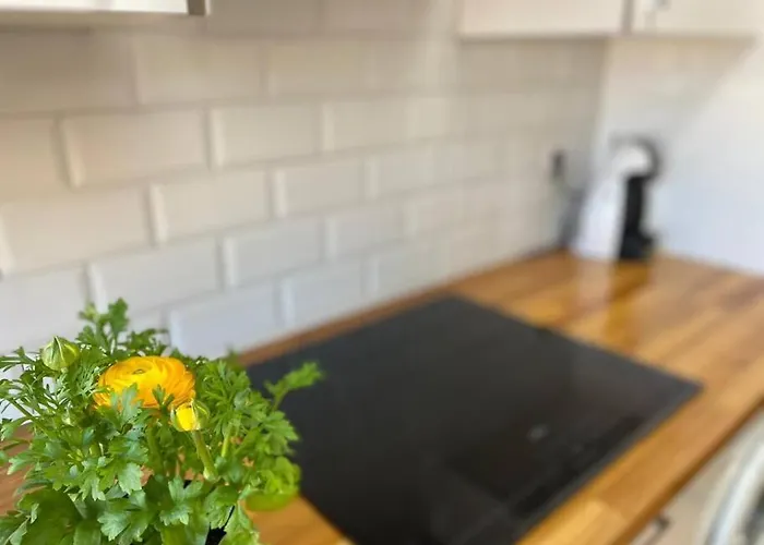 Apartmán Centrico-parking Gratuito-wifi *